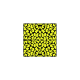 Tkanina 29368 | CĘTKI 12 BLACK / YELLOW