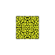 Tkanina 29368 | CĘTKI 12 BLACK / YELLOW