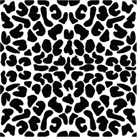 Fabric 29369 | CĘTKI 13 BLACK / WHITE