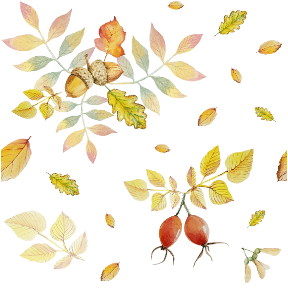 Tkanina 29533 | Jesienny las