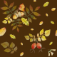 Fabric 29536 | Jesienny las na Brązowym 