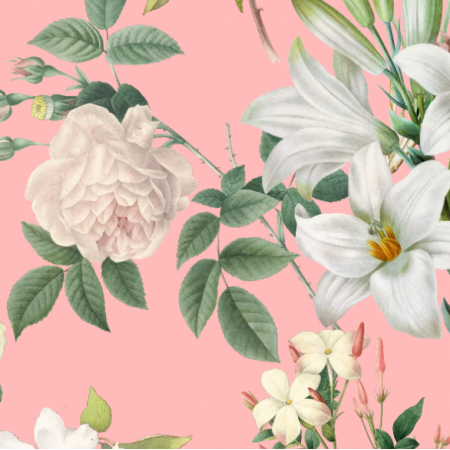 30573 | Duże Białe Kwiaty na Różanym Tle