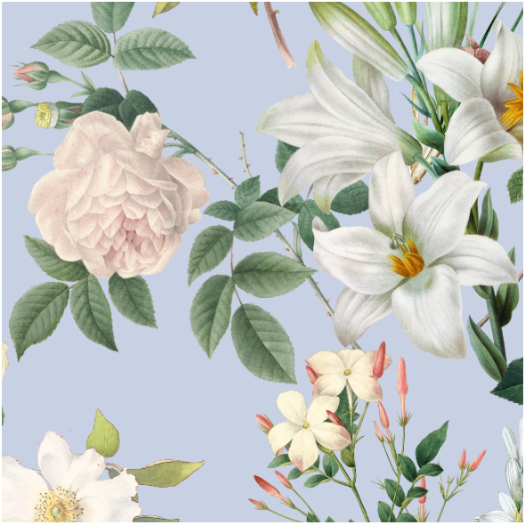 Tkanina 30586 | Duże Białe Kwiaty Na Błękitnym Niebie