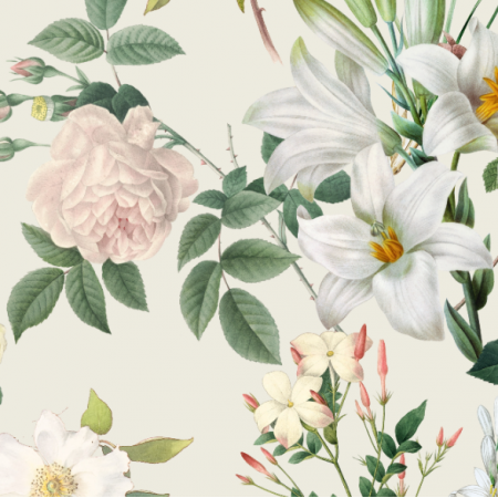 Fabric 30587 | DUże Białe Kwiaty - Alabaster 