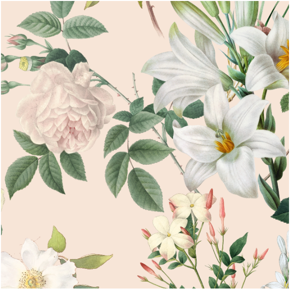 Fabric 30588 | Duże Białe kwiaty - Pudrowy Róż