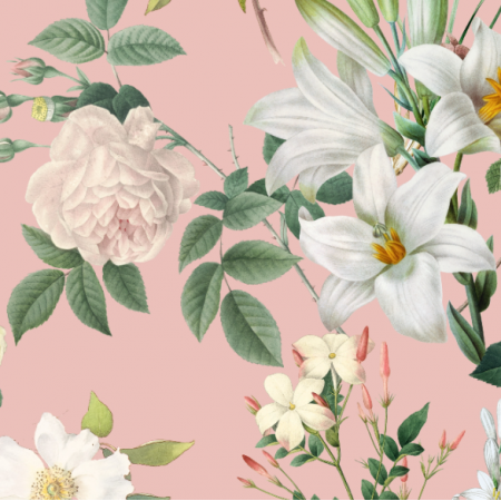 Tkanina 30589 | Duże Białe Kwiaty Na Różowym 