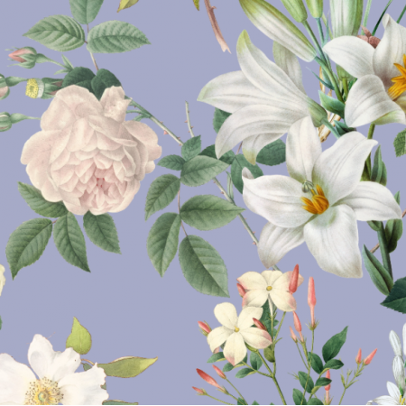 30590 | Duże Białe Kwiaty - Jasny fiolet
