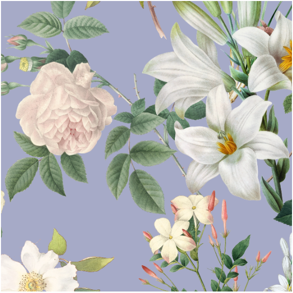 Fabric 30590 | Duże Białe Kwiaty - Jasny fiolet