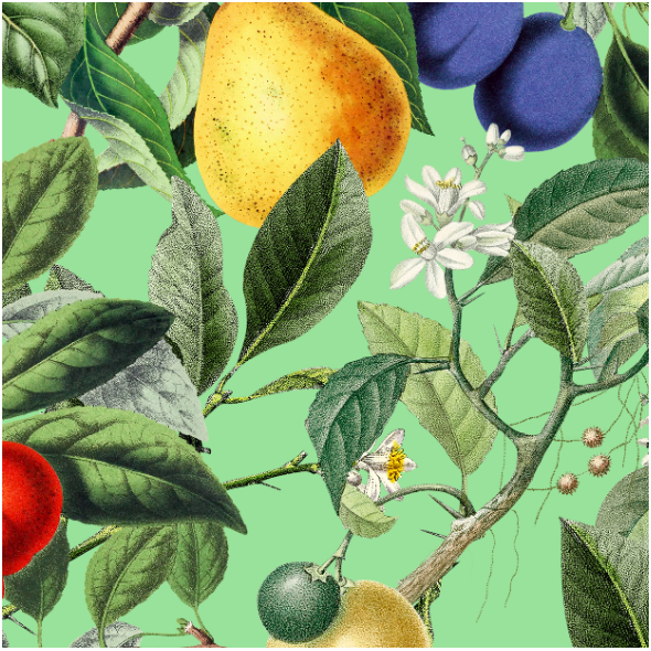 Tkanina  | Summer Fruits