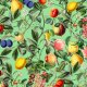 Tkanina  | Summer Fruits