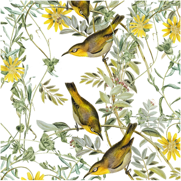 Tkanina 30759 | Yellow Birds