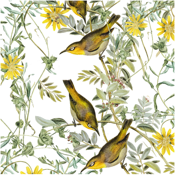 Fabric 30759 | Yellow Birds