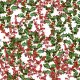 Fabric 30768 | Christmas Foliage