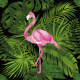 Tkanina 30775 | TROPICAL 13
