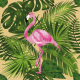 Fabric 30777 | TROPICAL 15