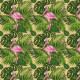 Fabric 30777 | TROPICAL 15