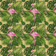Fabric 30777 | TROPICAL 15
