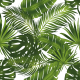 Tkanina 30826 | TROPICAL 20