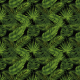 Tkanina 30827 | TROPICAL 21