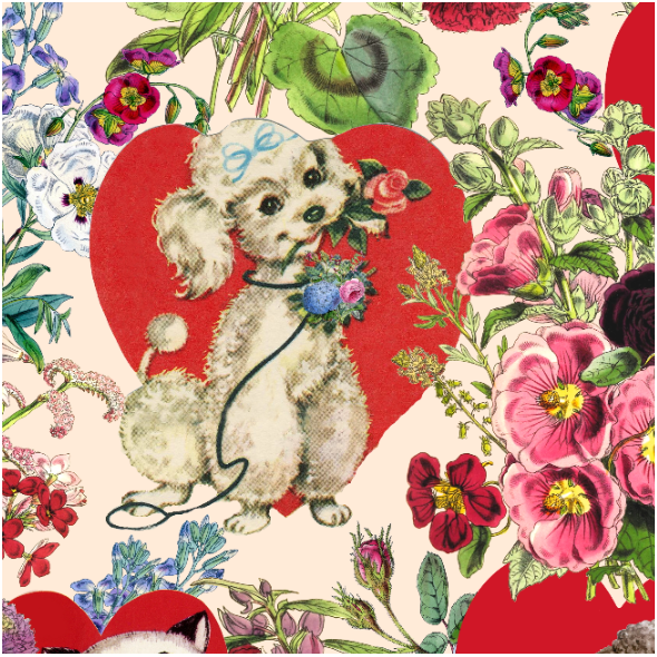 Tkanina 30928 | Pieski I Kotki Świętują Walentynki - Brzoskwiniowe Tło 