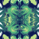 Fabric 31295 | BLENDER PAINT 2