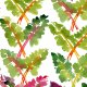 Fabric 31448 | warzywnik 1