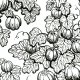 Fabric 31517 | dynie czarne
