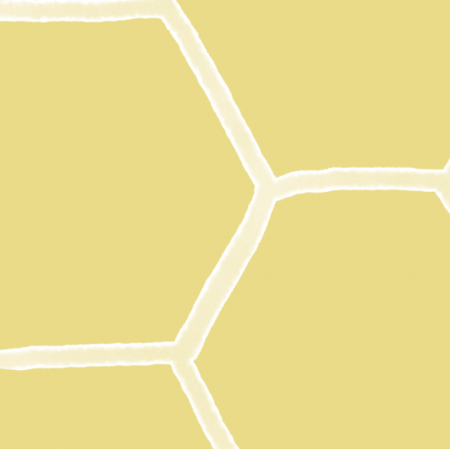 31665 | Birds&Bees - honeycomb yellow