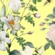 Fabric 33308 | BIAŁE KWIATY NA KANARKOWYM TLE