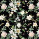 Fabric 33468 | NOCNY OGRÓD - BIAŁE KWIATY NA CZARNYM TLE