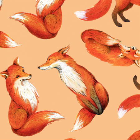 33531 | fox 6