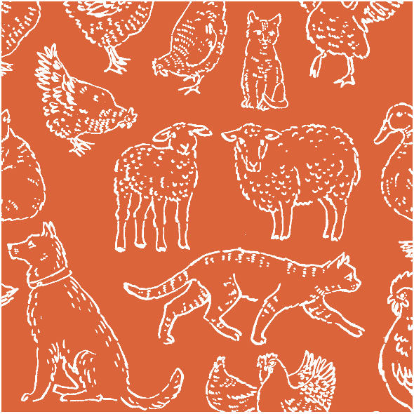 Tkanina 33640 | farma red 2