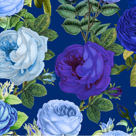 Tkanina 34031 | Niebieskie róże