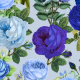 Fabric 34032 | Niebieskie Róże