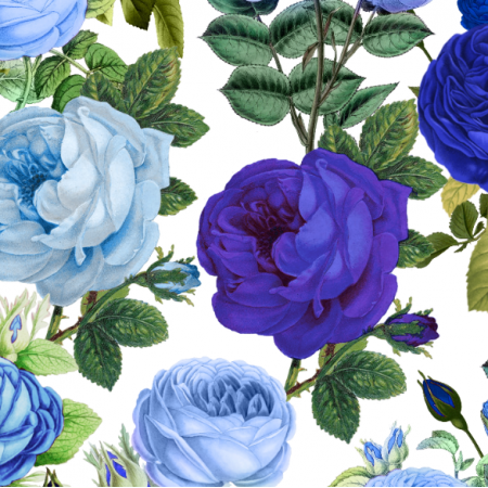 Tkanina 34033 | Niebieskie Róże na Białym Tle