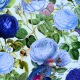 Fabric 34352 | Ogród Niebieskich Róż