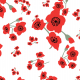 Fabric 34365 | red poppies on white czerwone maki na białym cottaecore