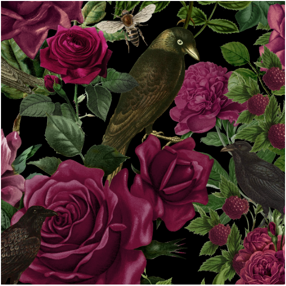 Tkanina 34367 | Bordowe Róże i Ptaki - Czarne Tło