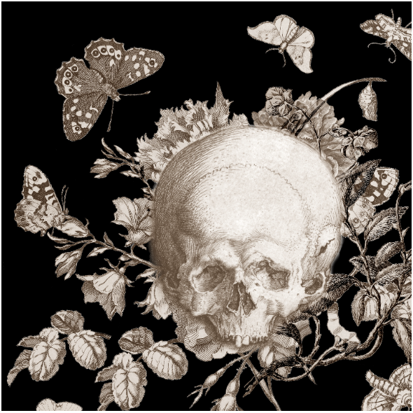 Fabric 34379 | Gotyk Czaszka Kwiaty I motyle