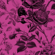 Fabric 34518 | Czarne Róże i Fuksja