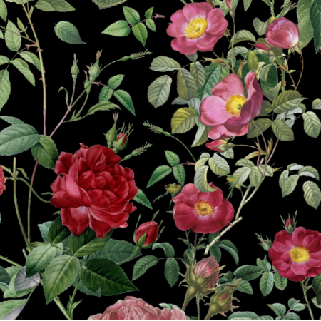 Fabric 34878 | Dzika Róża Na Czarnym Tle