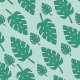 Fabric 36018 | MONSTERA-1