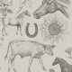 Tkanina 36291 | STARY FOLWARK