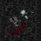 Tkanina 37246 | alien brzydal
