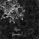 Fabric 37251 | Skorpion TYGRYS Dziadek