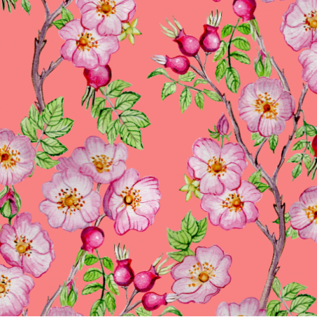 Fabric 37378 | Dzika róża brzoskwiniowa