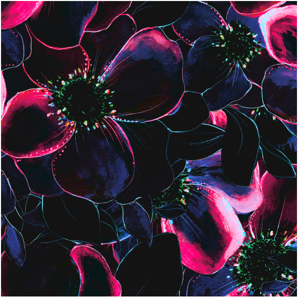 Tkanina 37622 | Mnóstwo kwiatów i Różowo-granatowy czarny niebieski