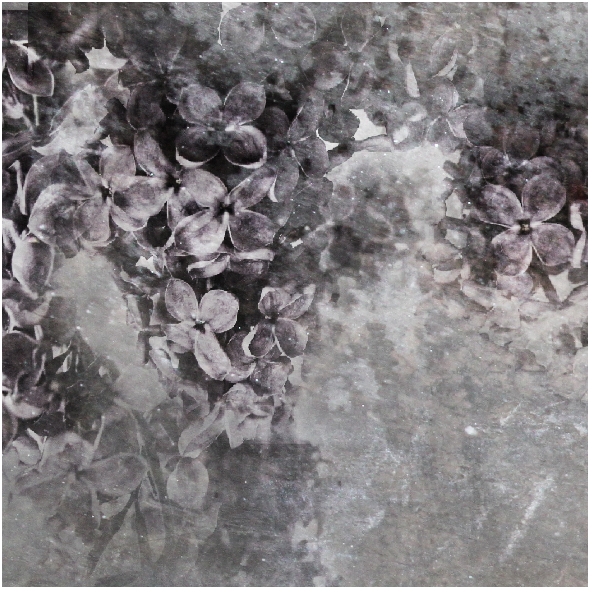 Tkanina 3910 | Lilac Flowers