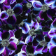 Fabric 37959 | Mnóstwo kwiatów i fosfosyderyt