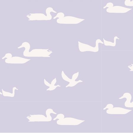 Fabric 3975 | ducks